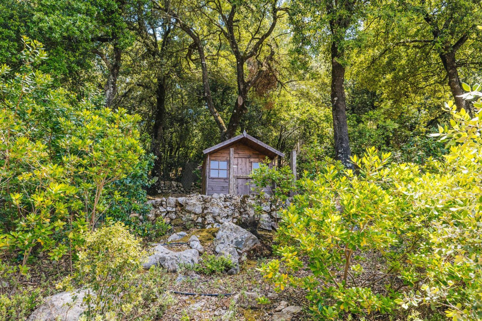 Ca'S Pastor - Chalet De Montana Escorca Bagian luar foto